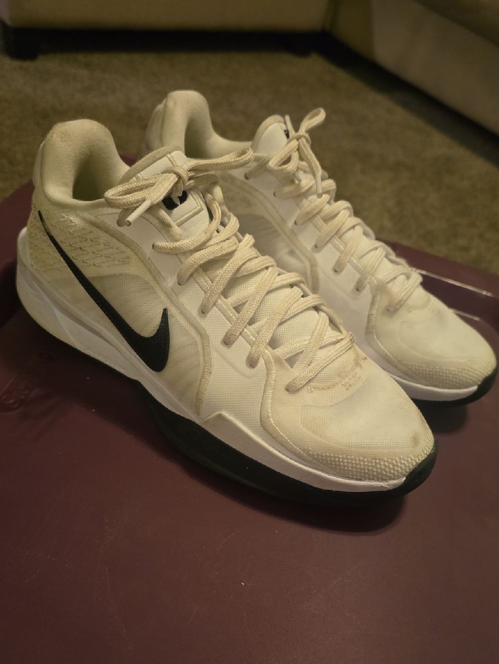 Sabrina Women's Nike White Sneakers with Black Swoosh Low-Top